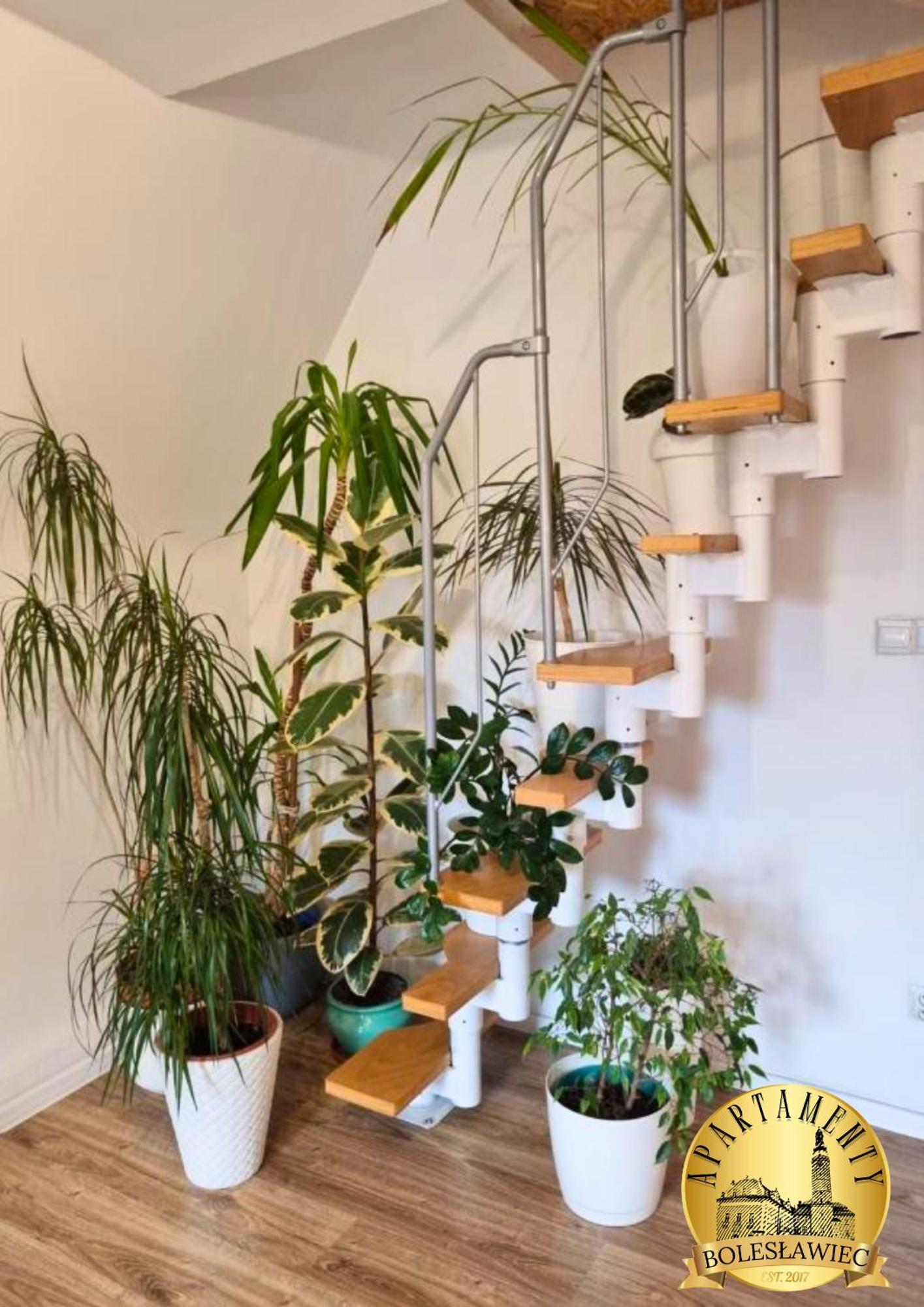 Apartament W Rynku بوليسلافيتش المظهر الخارجي الصورة